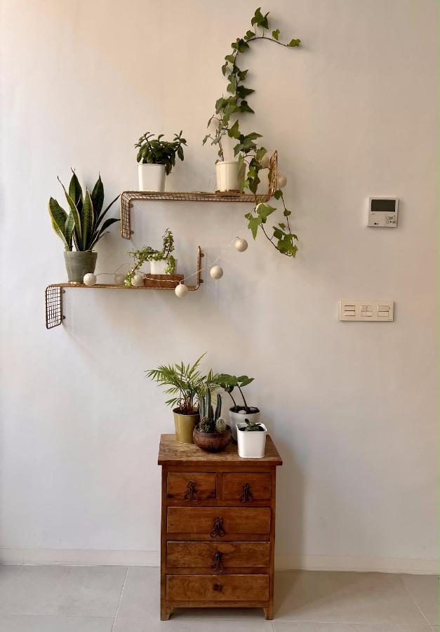 Beautiful House In Cartagena'S Historic Center Villa Eksteriør billede